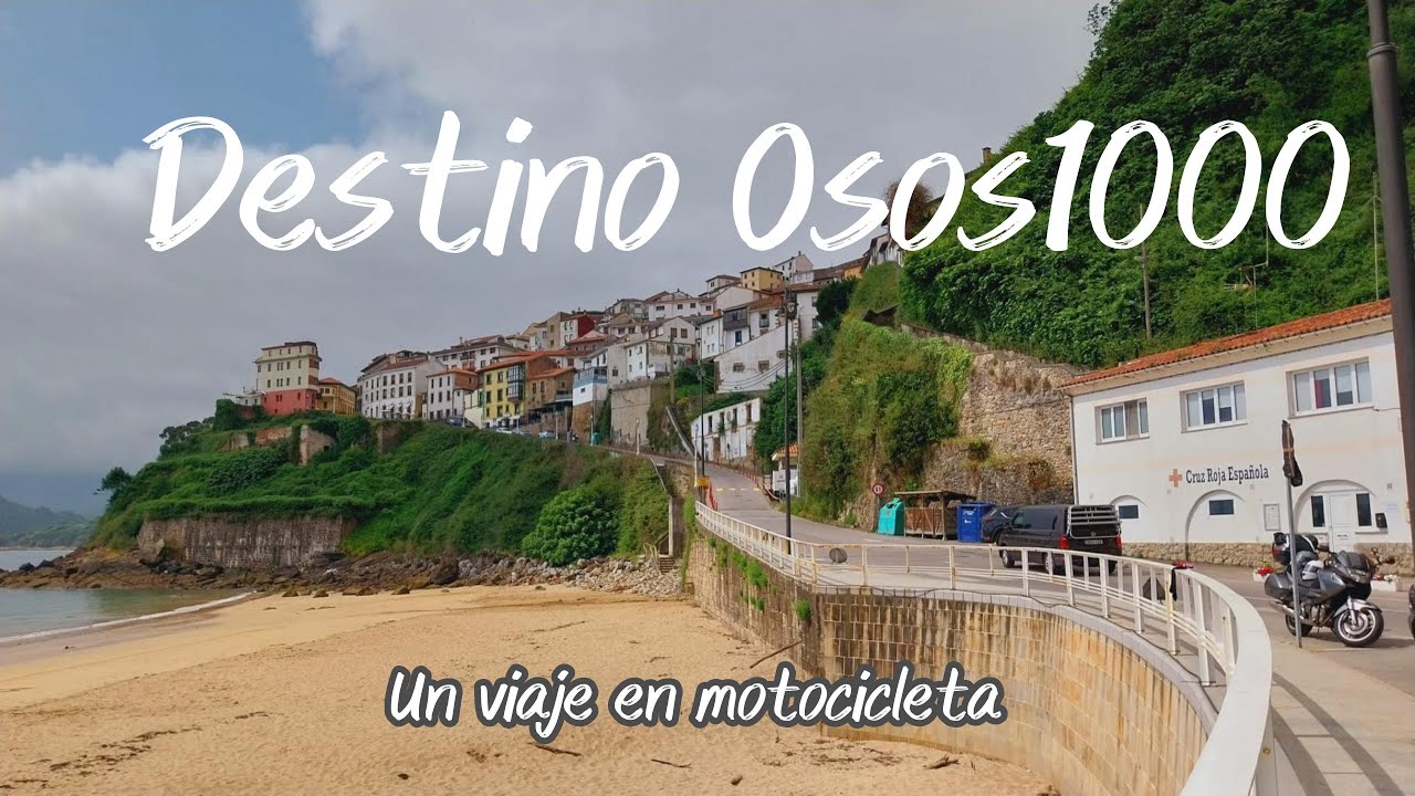Destino osos1000