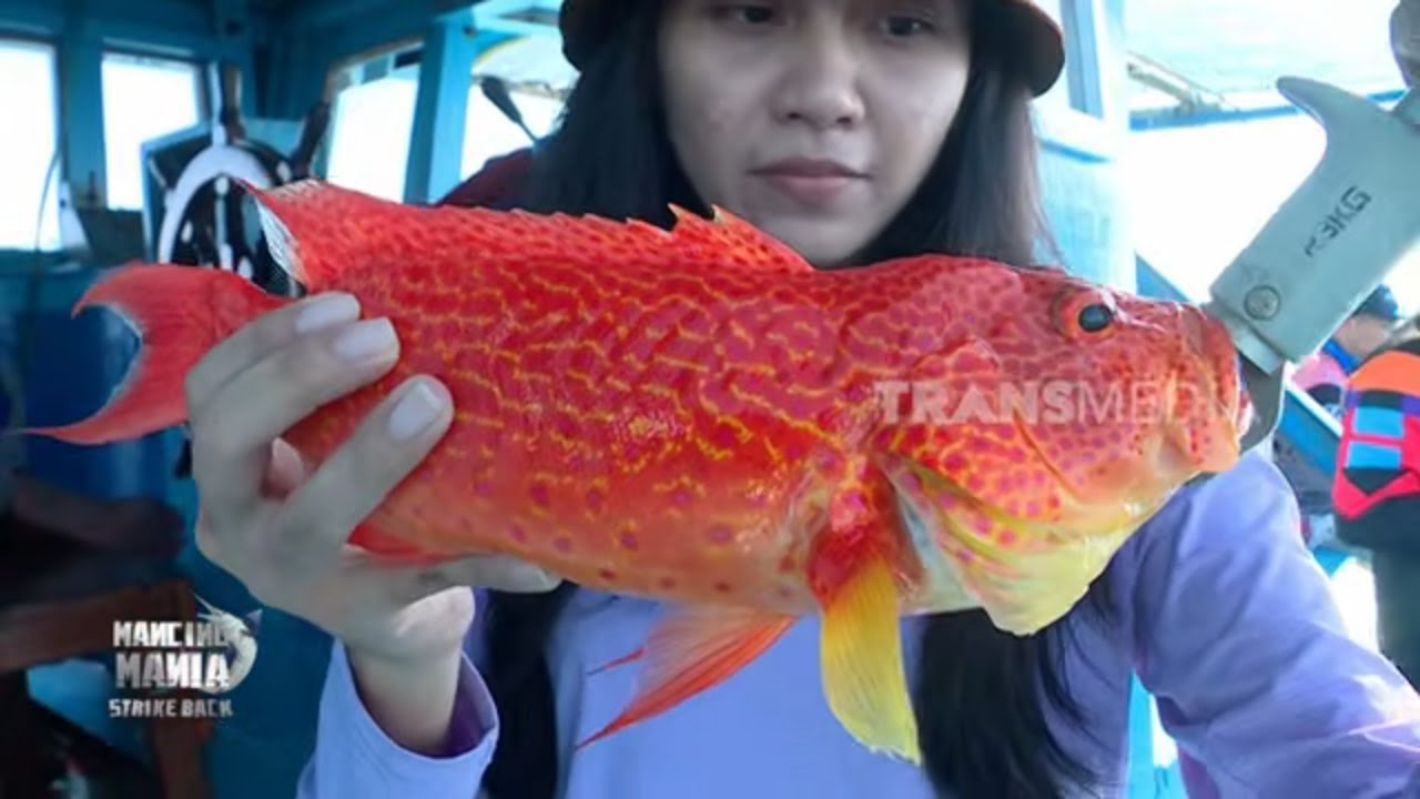Mancing Bareng YUNI, Agai Ulai Berau Favorit 2019 | MANCING MANIA STRIKE BACK (07/02/26) Part 1