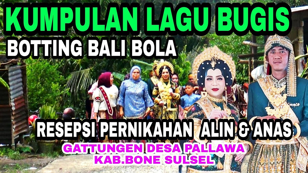 Kumpulan lagu bugis-  Resepsi pernikahan Bugis Alin dan Anas di  desa pallawa kab.bone Sul-Sel