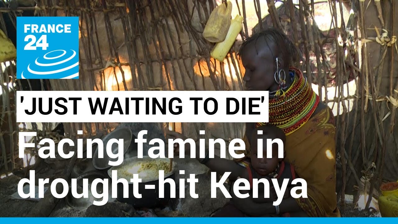 'Just waiting to die': The Kenyans surviving on berries in drought-stricken north • FRANCE 24