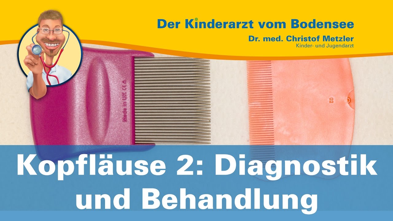 Kopfläuse 2: Diagnostik und Behandlung - Der Kinderarzt vom Bodensee