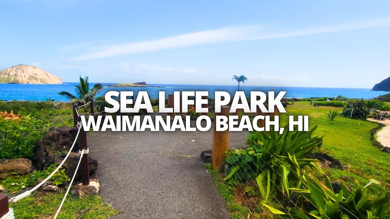 Exploring Sea Life Park in Waimanalo, Hawaii USA Walking Tour #sealifepark #honolulu #waimanalo #hi