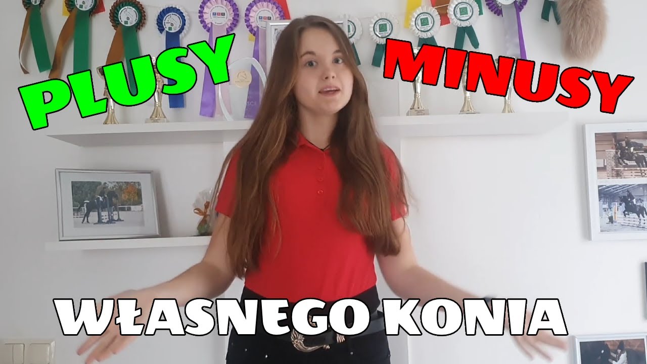Plusy i minusy posiadania własnego konia