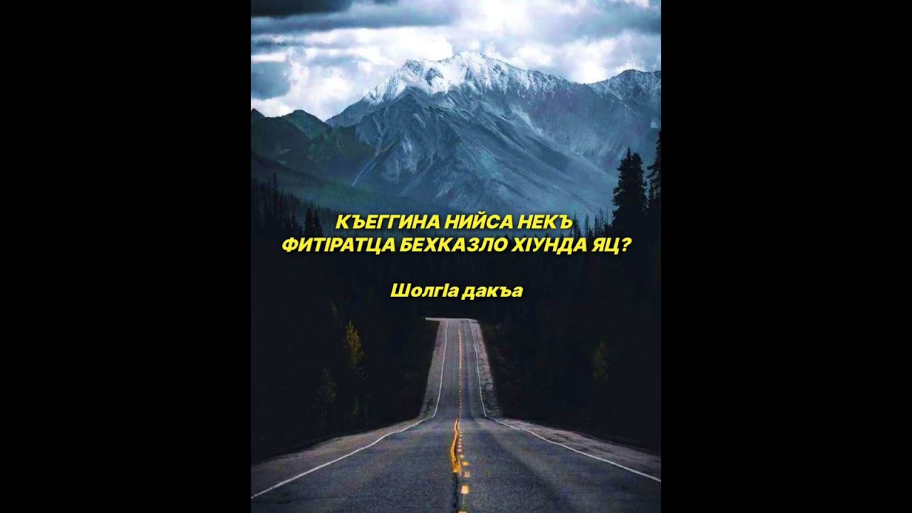 Шейх lели | Къеггина, Нийса некъ. Фитlротца цун хот балар. (Бехказло хlунда яц?) Шолгlа дакъа.