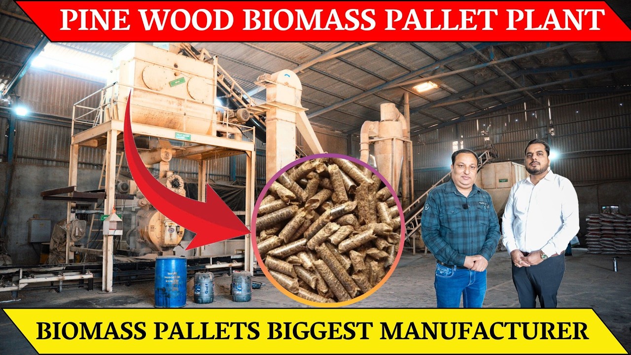 Biomass pellet business with pine wood pellet making plant - Biomass pellet plant - Biomass fuel