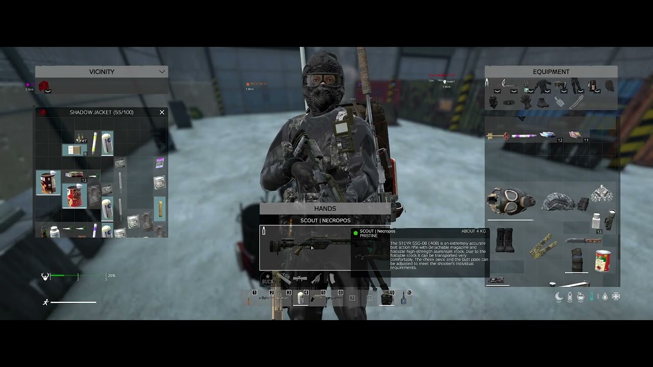 DayZ 20260201-1