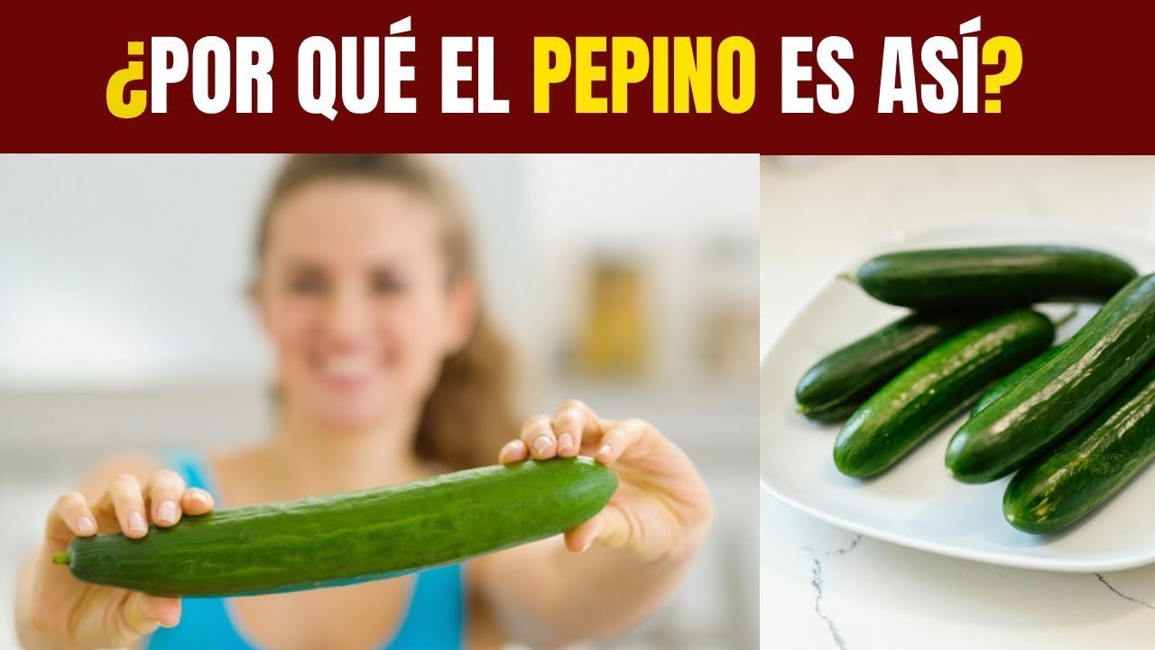 Por qué el PEPINO tiene esta forma 🥒
