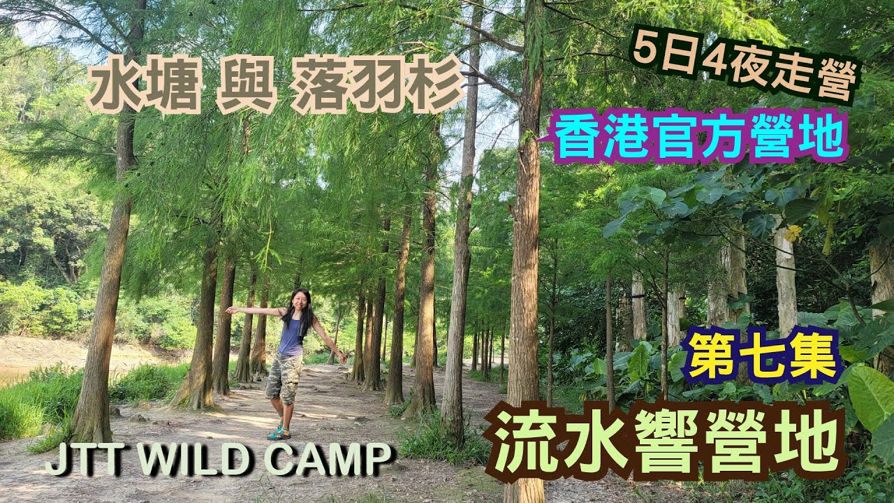 流水響營地 Lau Shui Heung Campsite 香港露營 5天4夜連走營地 | 香港官方營地 第七集 ~ 流水響水塘與落羽杉 | 八仙嶺郊野公園