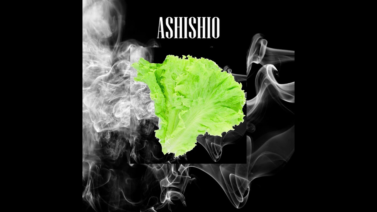 eat your vegetables remix (extended version)