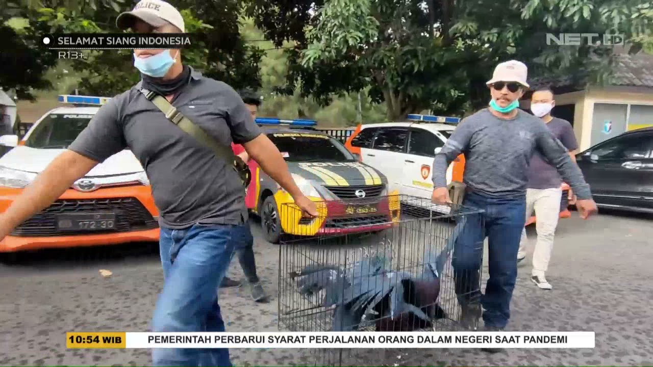 Tim Gabungan Lepas Liarkan Burung Betet Hasil Selundupan - SSI