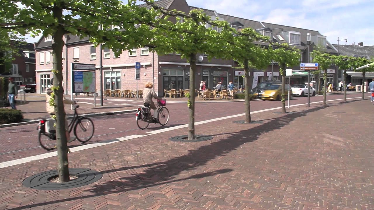 ANAE boomroosters in Bergeijk