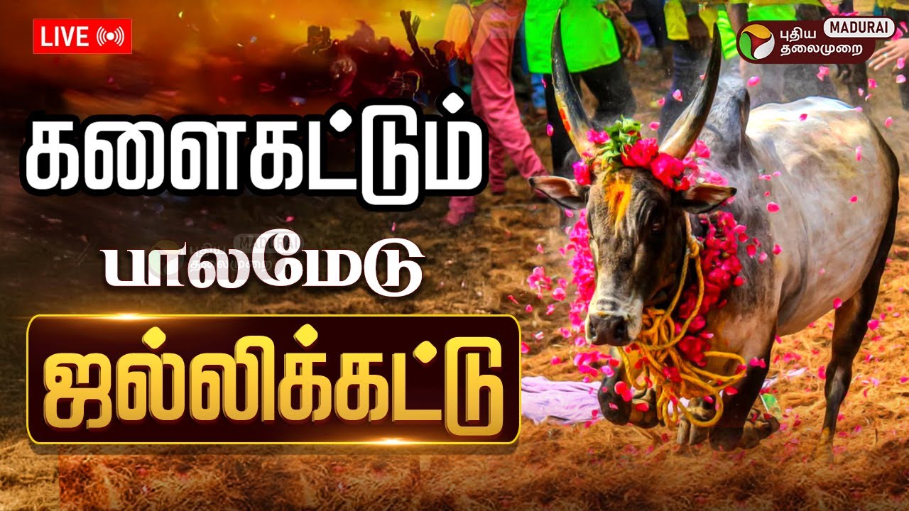 🔴LIVE: பாலமேடு ஜல்லிக்கட்டு | Palamedu Jallikattu live | Madurai Jallikattu 2026 Live Today