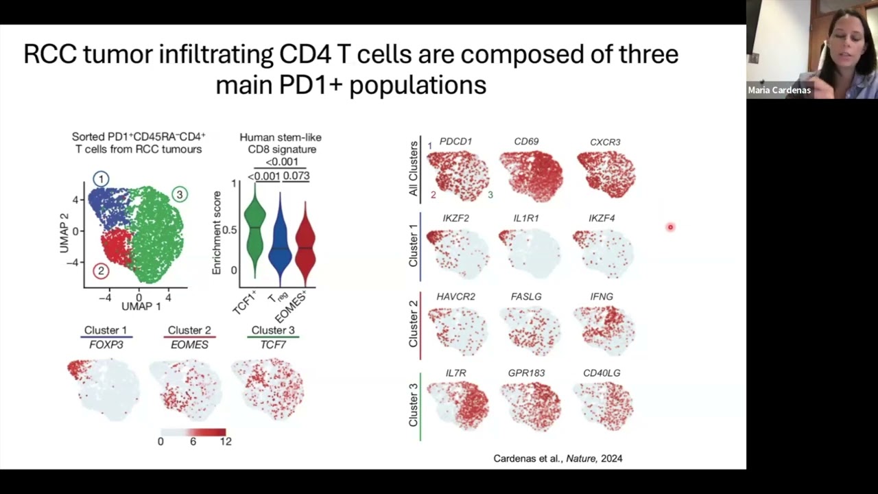 [Maria Cardenas] Differentiation fate of a stem-like CD4 T cell controls immunity to cancer