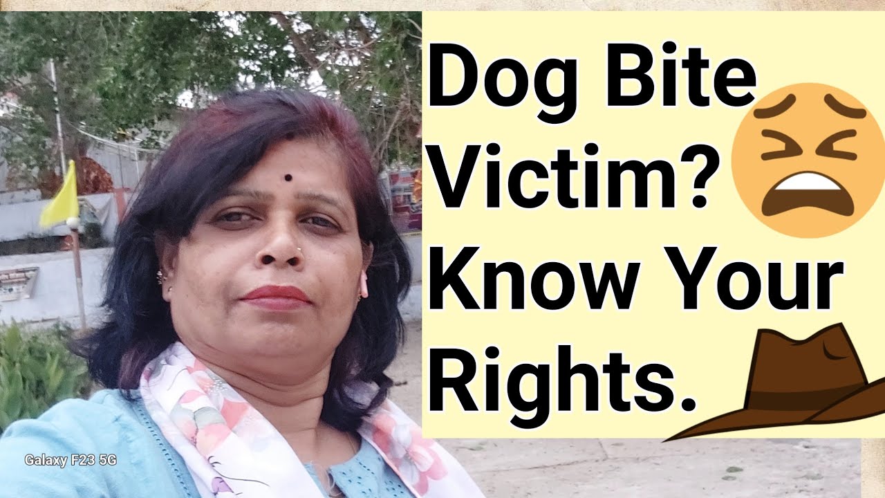 Dog Bite Legal Help: What to Do?