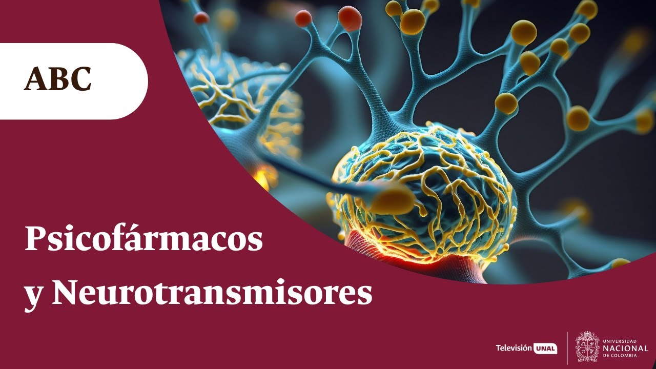 Neurotransmisores y psicofármacos: ¿cómo se equilibra la química de los trastornos psicológicos?
