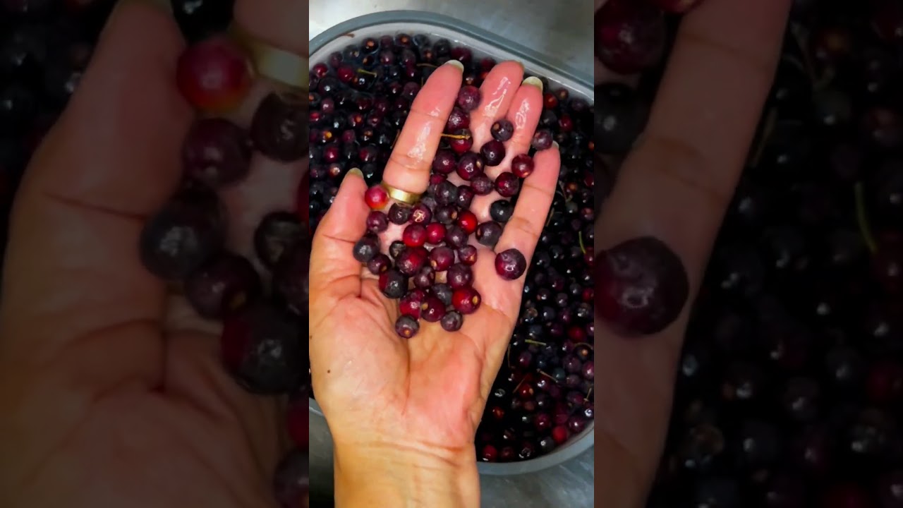 How to store FALSA upto 6 month#recipe#subscribe#cooking#food#viral#ytshorts#nuzhatdiaries