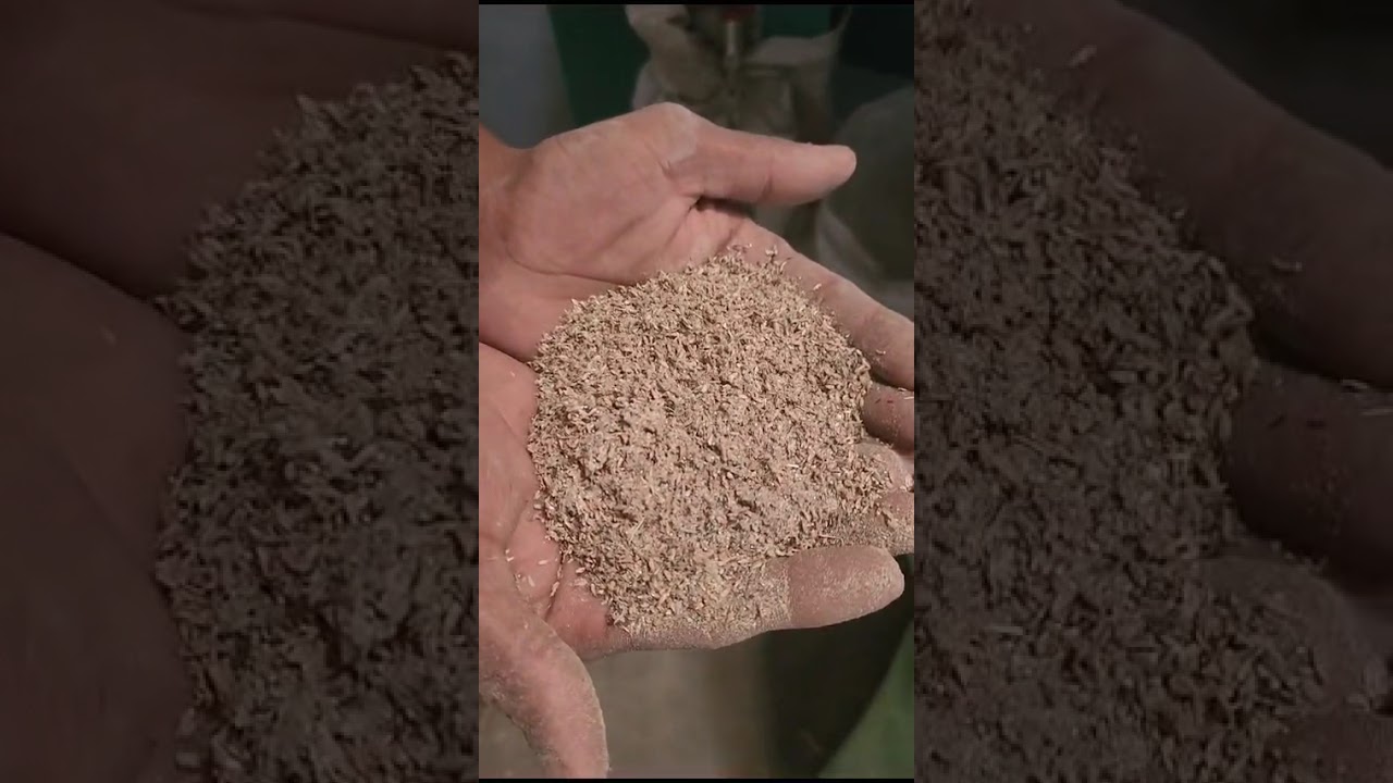 Modern Seed & Grain Processing Unit | Cleaning, Grading & Packaging | Rural Mechworks
