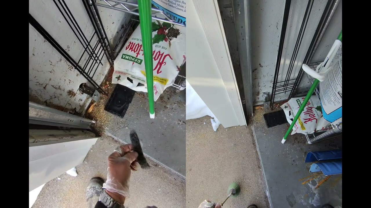 Pest Control Winter Season