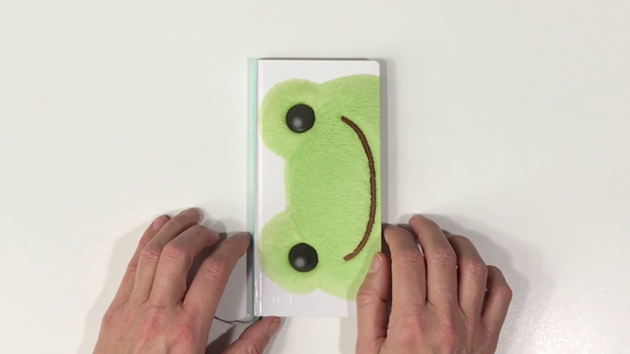 Set up of my HOBONICHI WEEKS 2021 | Health planner | Pickles the Frog