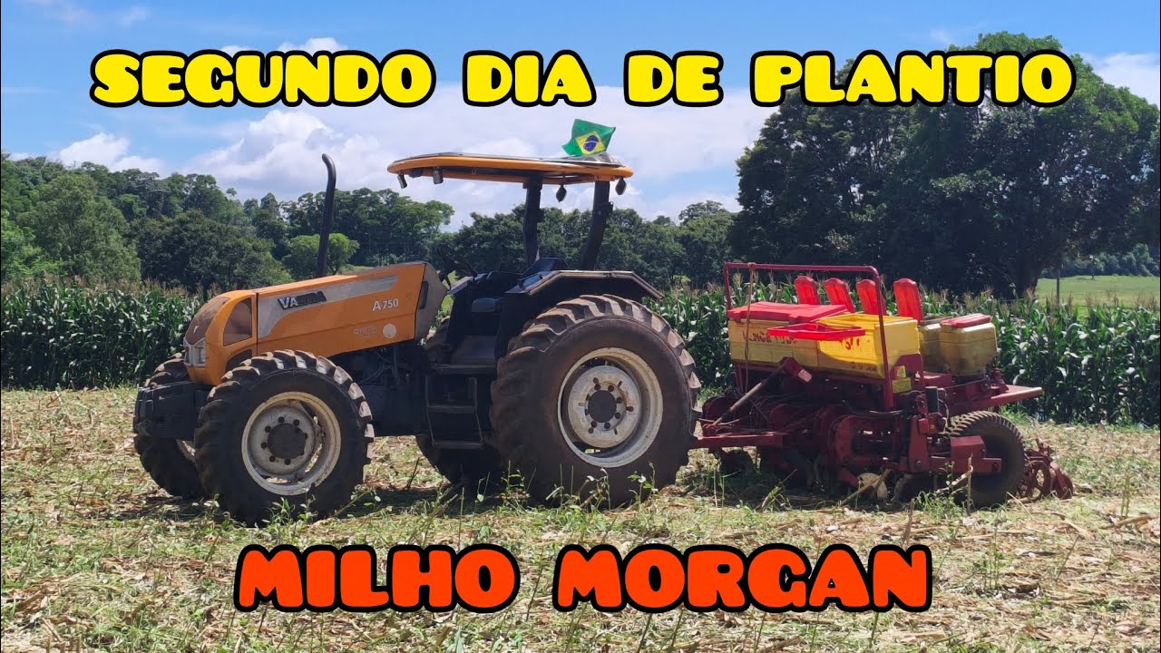 SEGUNDO DIA DE PLANTIO DO MILHO MORGAN, TERMINAMOS DE PLANTAR