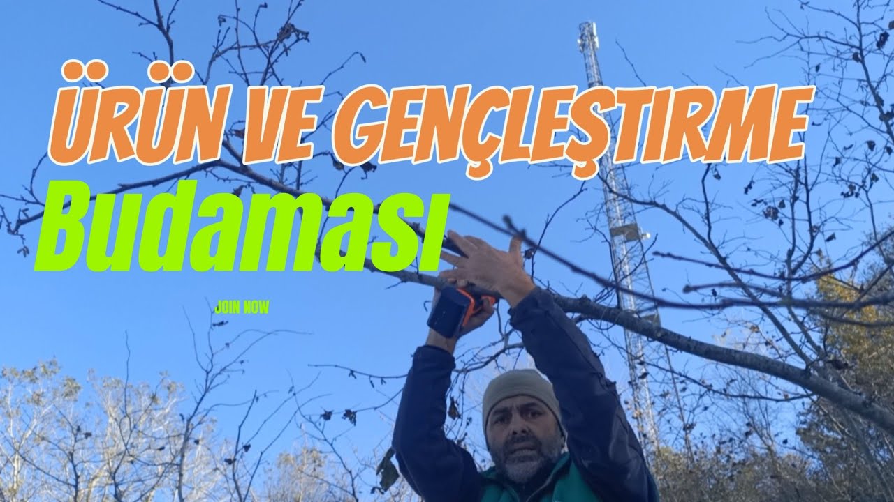 ÜRÜN VE GENÇLEŞTİRME BUDAMASI