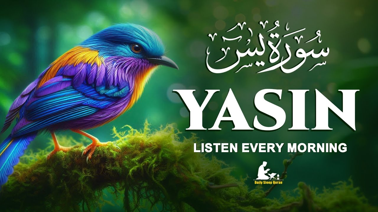Surah Yaseen (سورة يس) | Soothing & Beautiful Recitation for Inner Peace | Daily Sleep Quran 