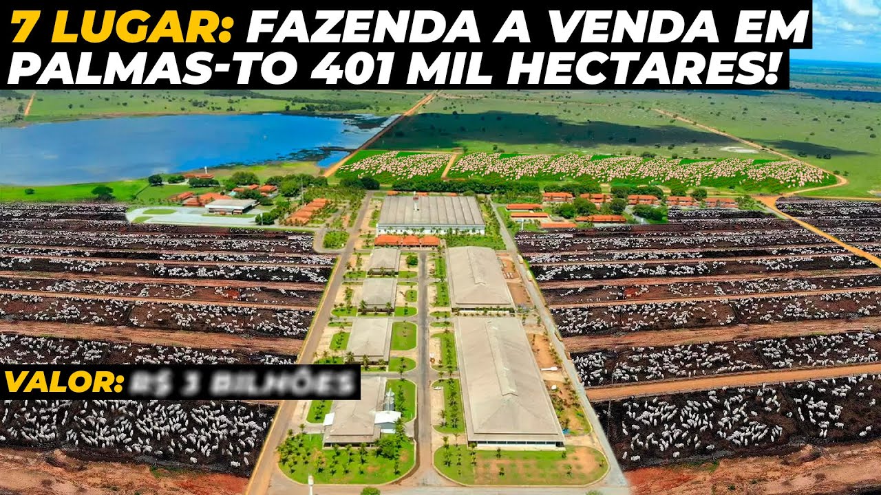 10 FAZENDAS MAIS CARAS A VENDA NO BRASIL 2025 COM VALORES!