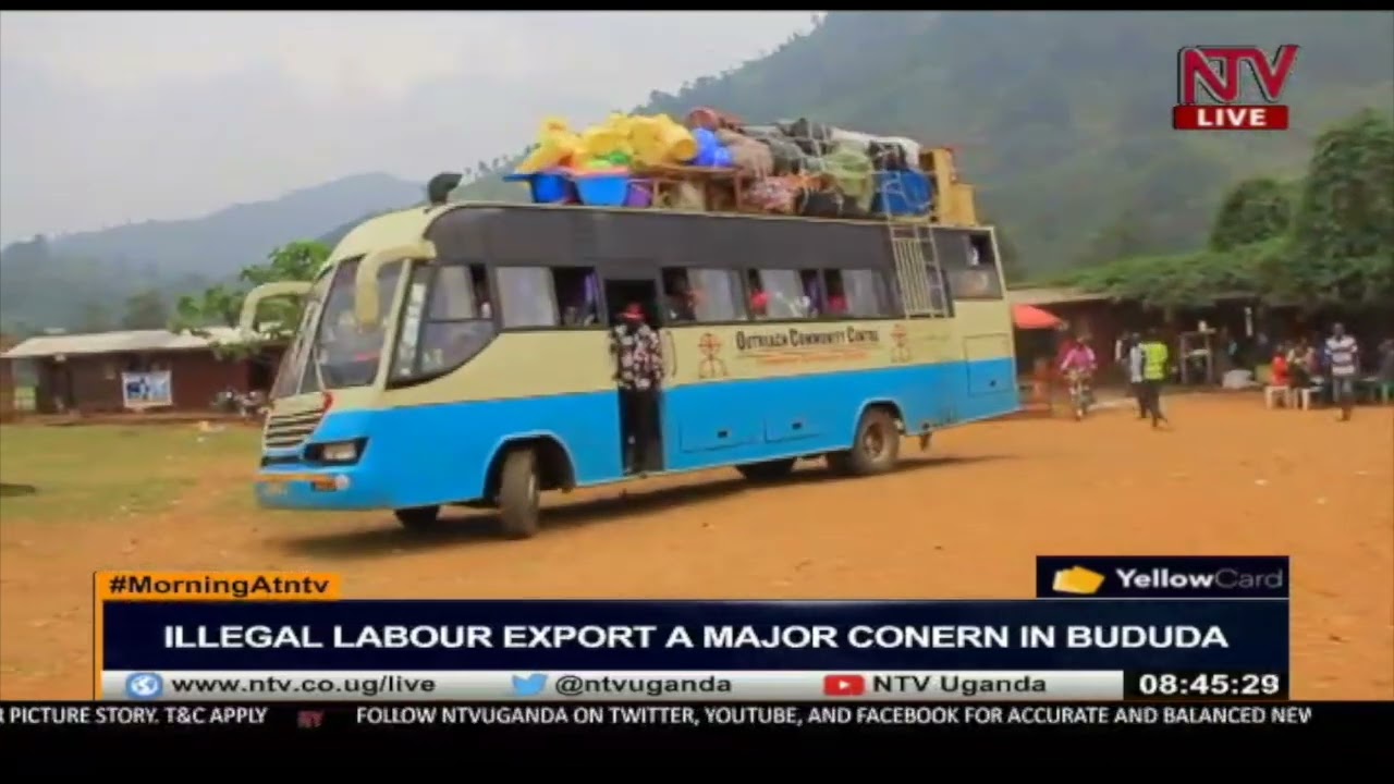 Illegal labour export a major  concern in Bududa | MORNING AT NTV