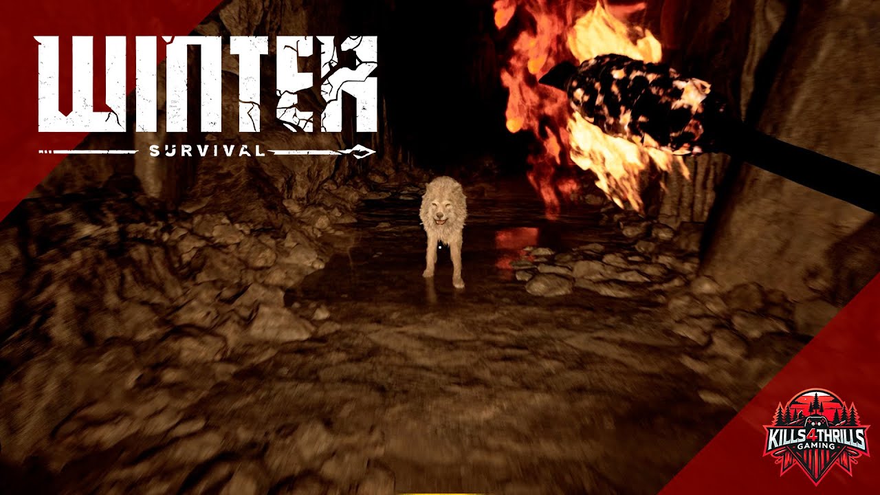 Into the Wolves Den | Winter Survival