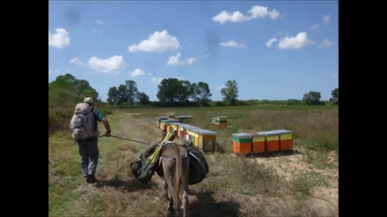 Donkey trekking in Tuscany hiking Italy