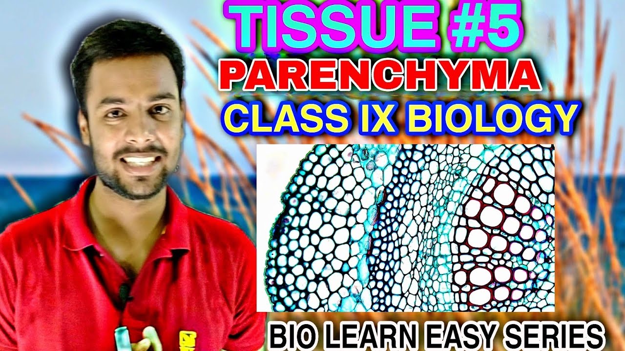 TISSUE| PARENCHYMA| PART-5| BIO-IX| CBSE/ICSE/ALL BOARD| R.K SIR| PLANT ANATOMY|