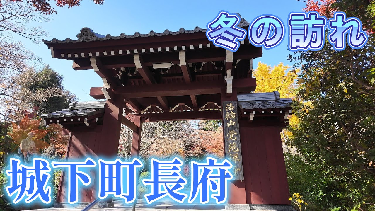 【城下町長府】紅葉と散策「下関市」「長府」今年の紅葉はどんな感じ？「長府庭園」