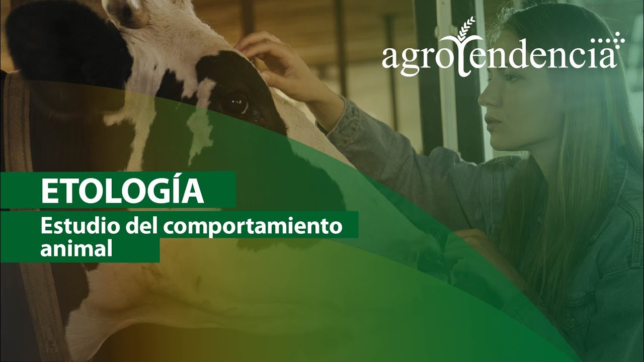 ETOLOGÍA | Estudio del comportamiento de los animales en sus medios naturales