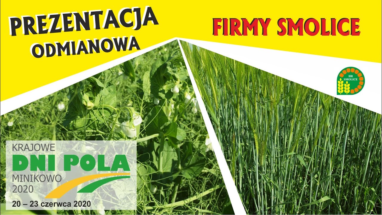Krajowe Dni Pola 2020 - Prezentacja odmianowa firmy HR Smolice