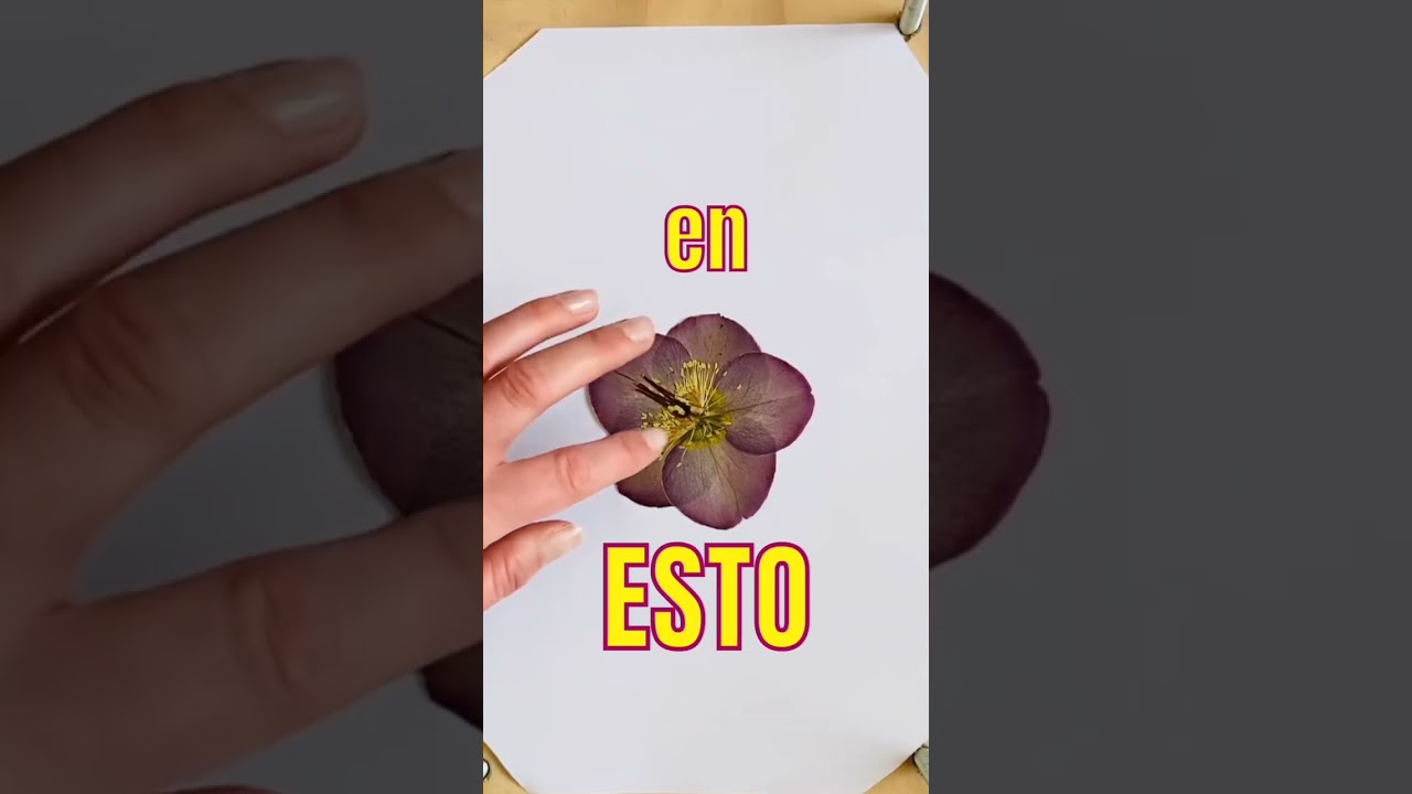 🌷Convert&iacute; FLORES NATURALES en hermosas FLORES SECAS🌷 que pod&eacute;s usar para tus #manualidades #ideas