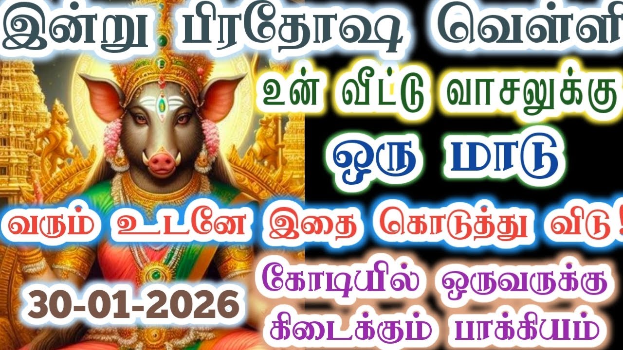 இந்த மாடு வந்தால் நீ தான் அதிர்ஷ்டசாலி/Amman/varaahi Amman/positive vibes/
