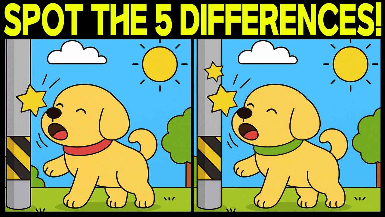 Spot The Difference Puzzles | Brain Games & Visual Challenges