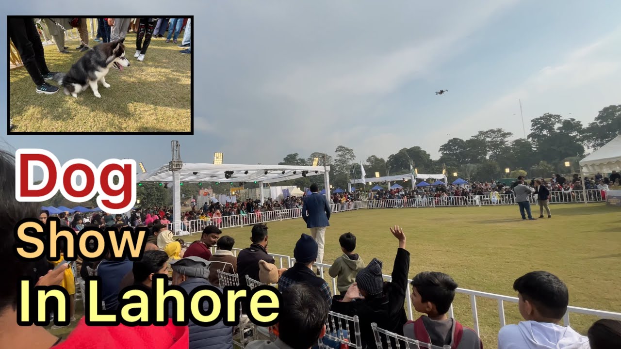 Dog show in race course park Lahore | beautiful dog show | dogs vlog @rajabbutt94