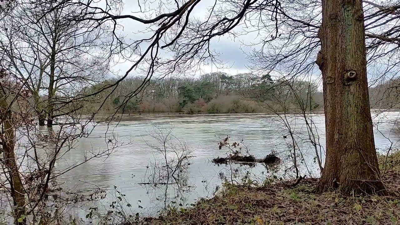 Hochwasser an  Ems und Dortmund-Ems-Kanal bei Lingen (2023/24)