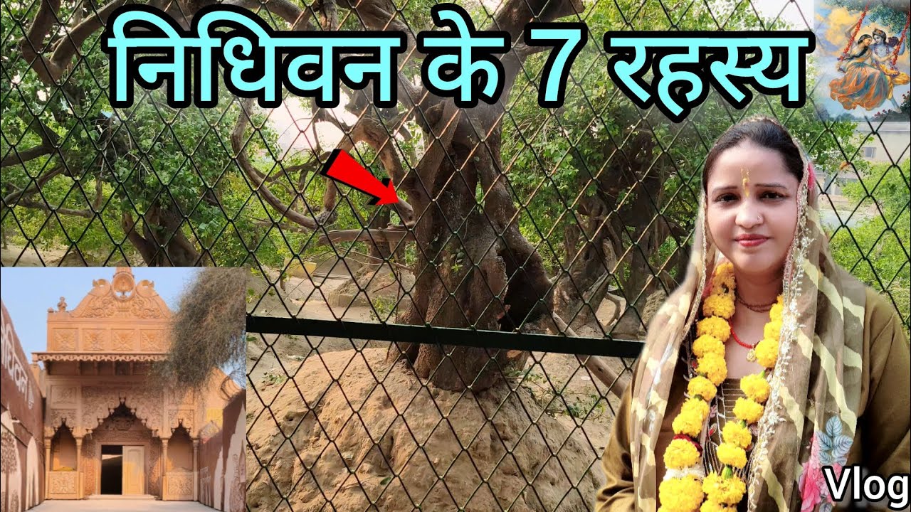 निधिवन के 7 रहस्य | आज भी भगवान श्री कृष्ण राधा रानी गोपियों के संग आते हैं | 🦚🌙 #nidhivan #vlog 
