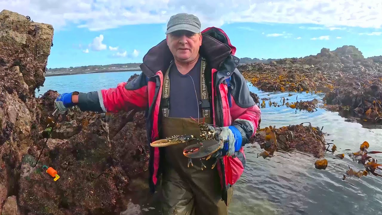 Coastal Foraging For Lobsters Abalone & The Hooks We Use 2025
