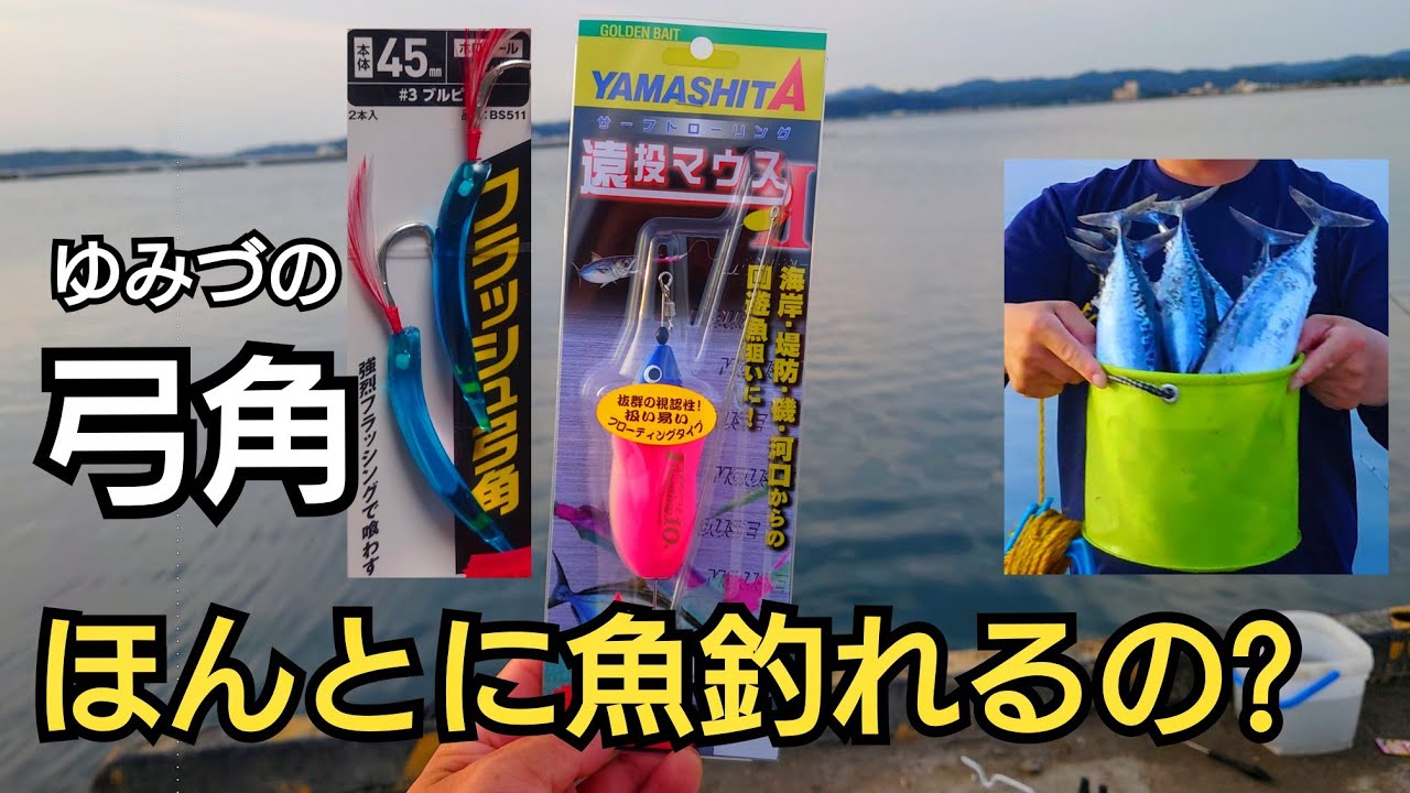 【ソウダガツオ】が爆沸きしてる日に弓角を投げたら釣れ過ぎて直ぐにクーラーボックス満タン