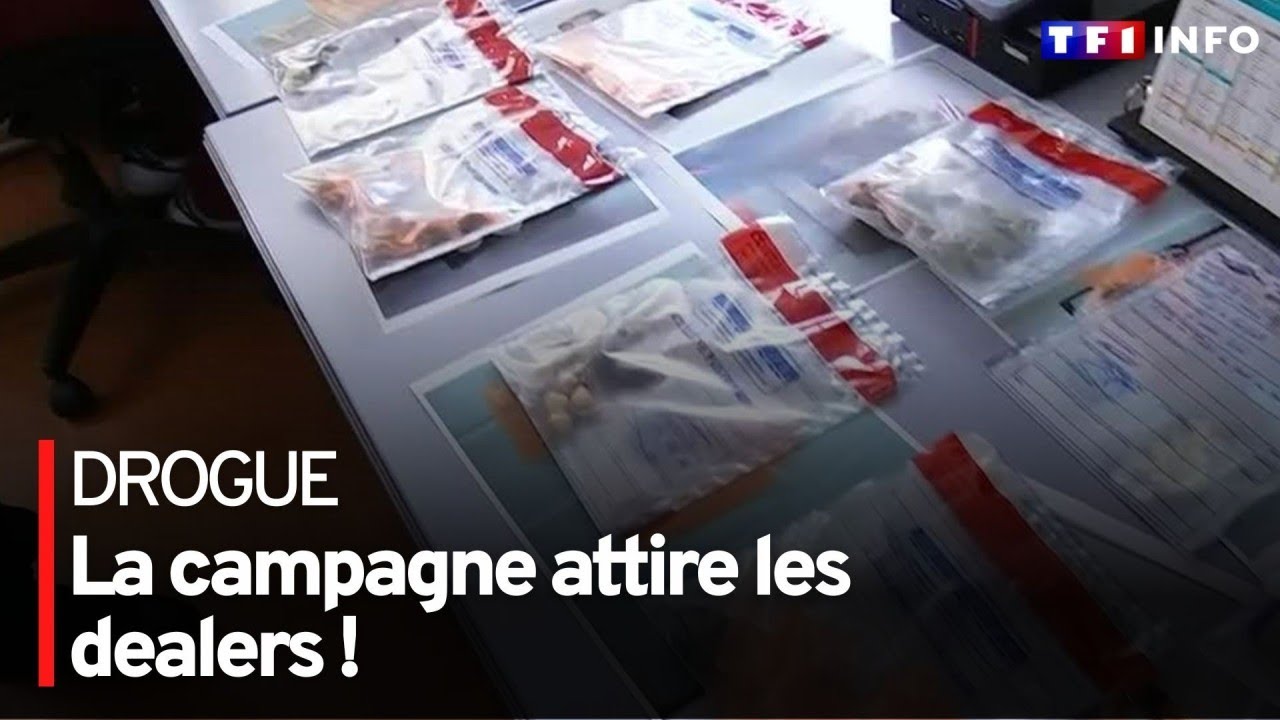Drogue : la campagne attire les dealers !