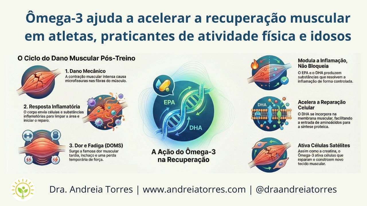 Papel do Ômega-3 no esporte | APRENDA NUTRIÇÃO