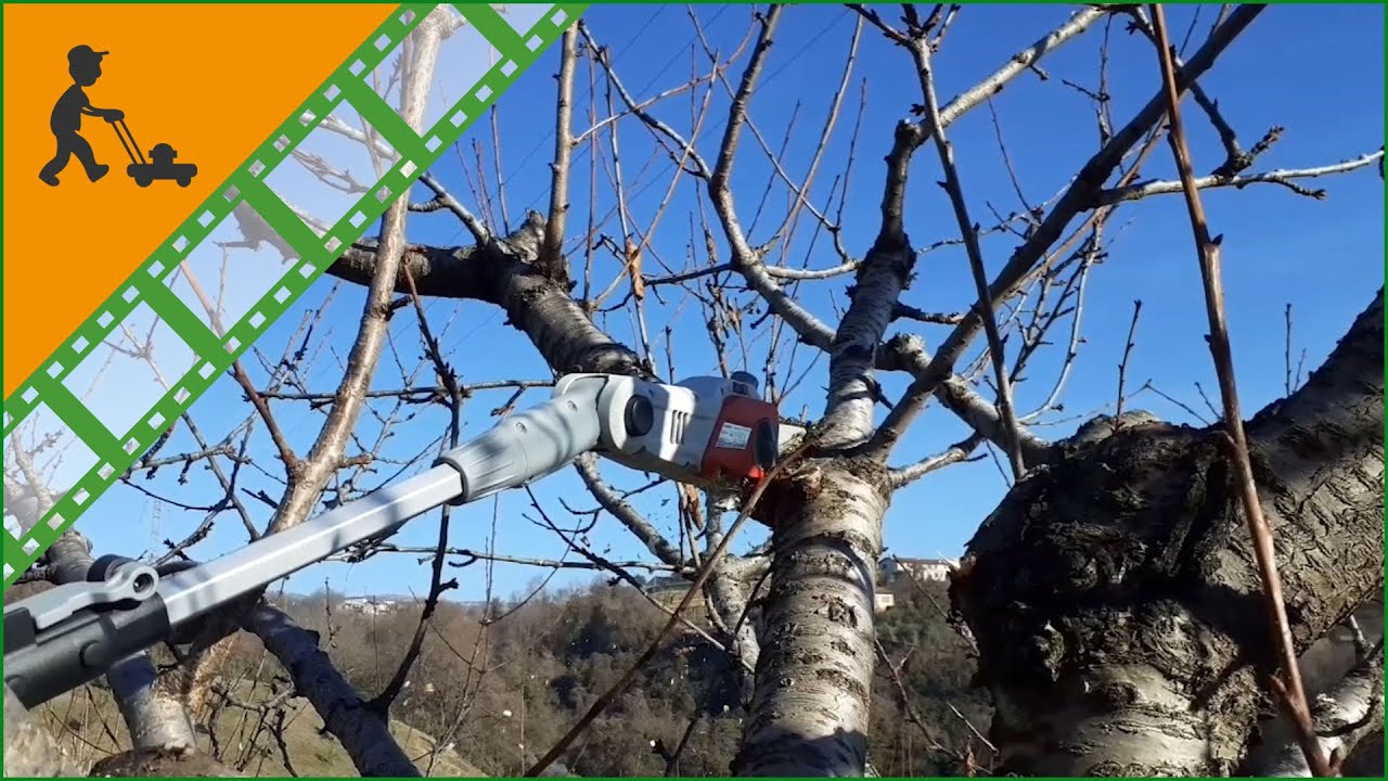 Potatore a batteria su asta telescopica IKRA IAAS 40-25