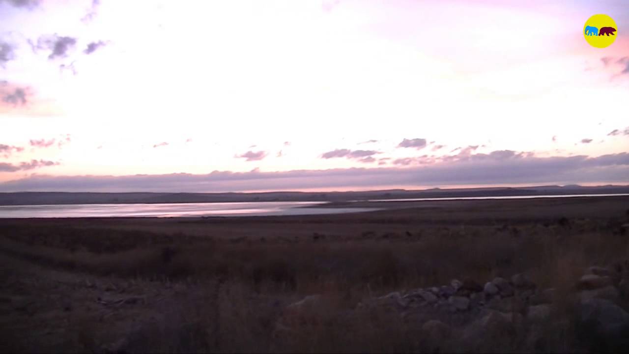 Laguna de Gallocanta. Avistaje de Aves. Arag&oacute;n.