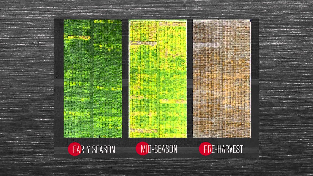 Choosing a UAV for Agriculture: AgLoop TV Episode 1