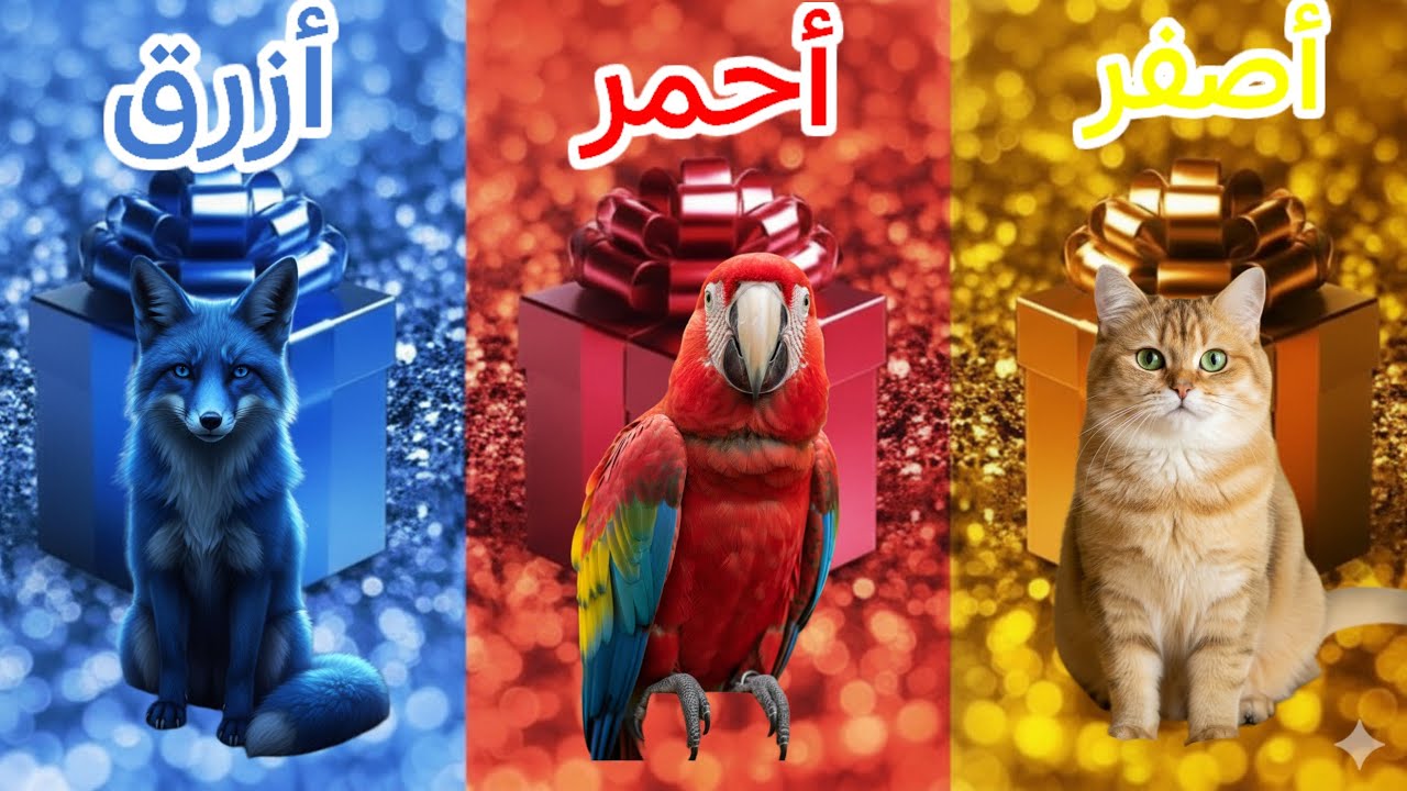 اختر الهدية 🎁 الأصفر 💛 أم الأحمر ❤️ أم الأزرق 💙؟