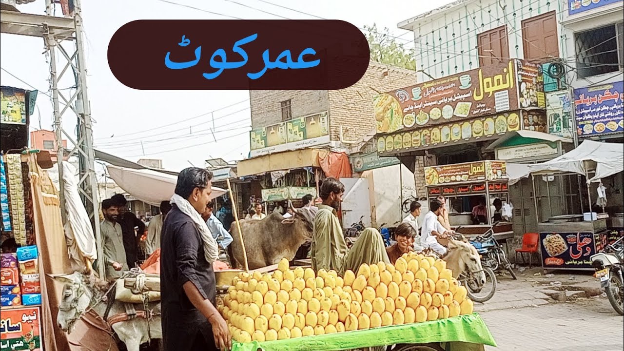Umarkot (Amarkot) City Sindh Pakistan l Umerkot Pakistan Vlog l Visit Umerkot City 