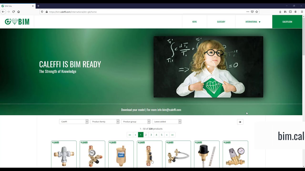 How to import Caleffi BIM schematics into a Revit&reg; project